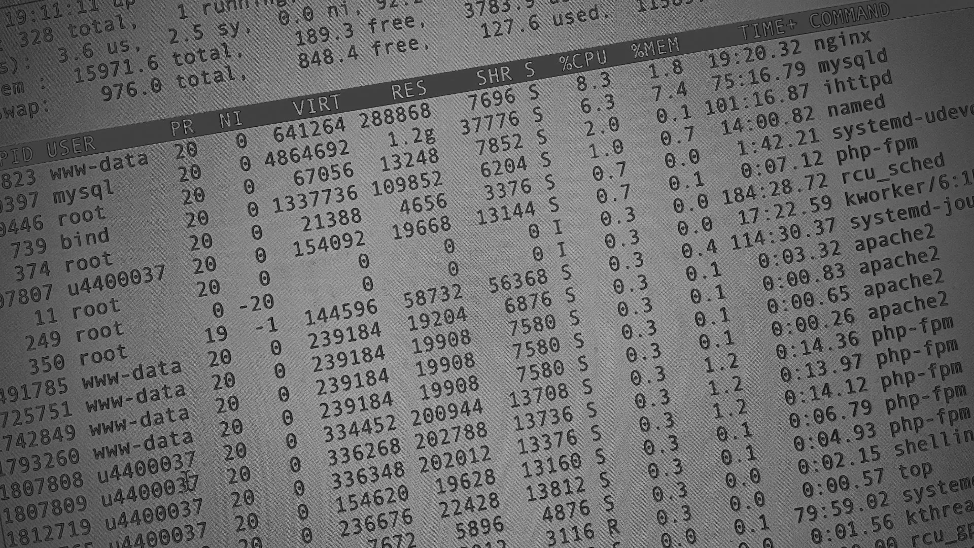 Настройка сервера в Волгограде