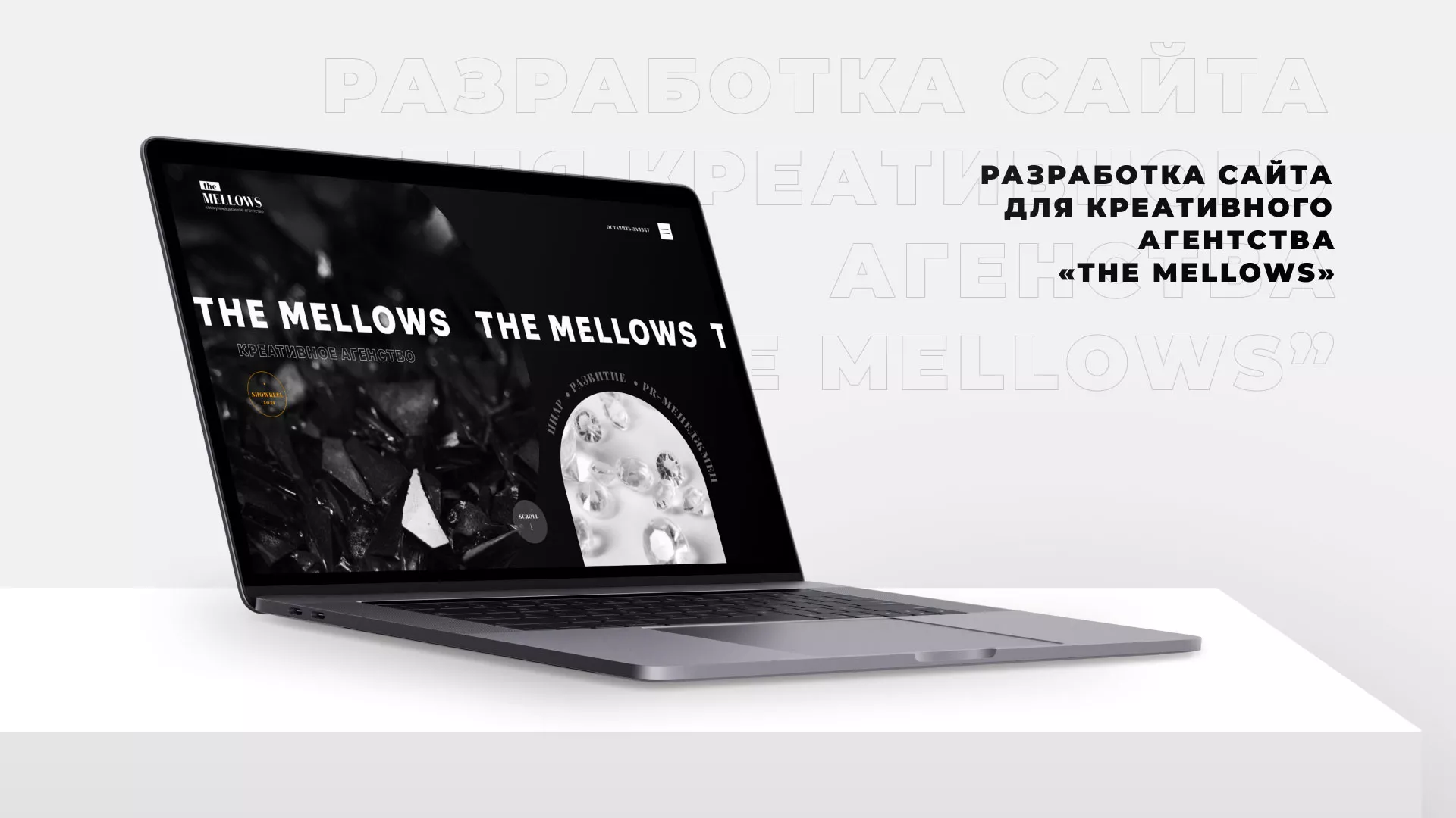 Разработка сайта креативного агентства «The Mellows» в Волгограде