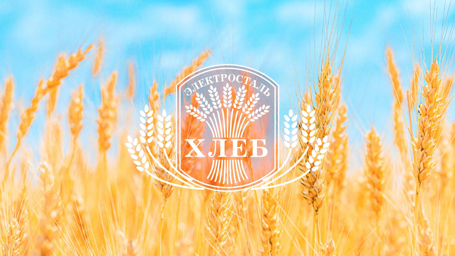 Создание сайта для хлебзавода в Волгограде